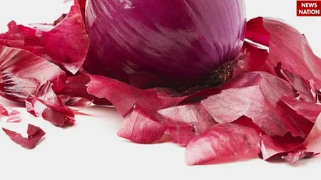 प्याज के छिलके1 (1)
