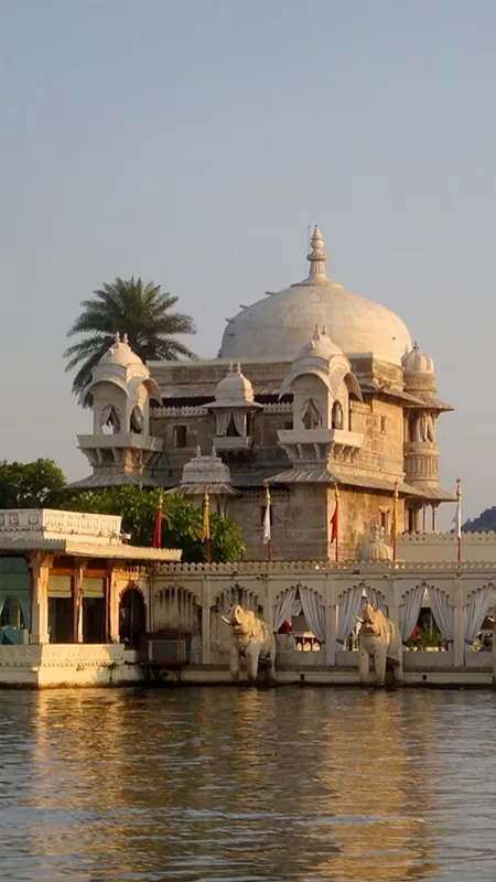 WhatsApp Image 2024-08-01 at 11.07.00 AM