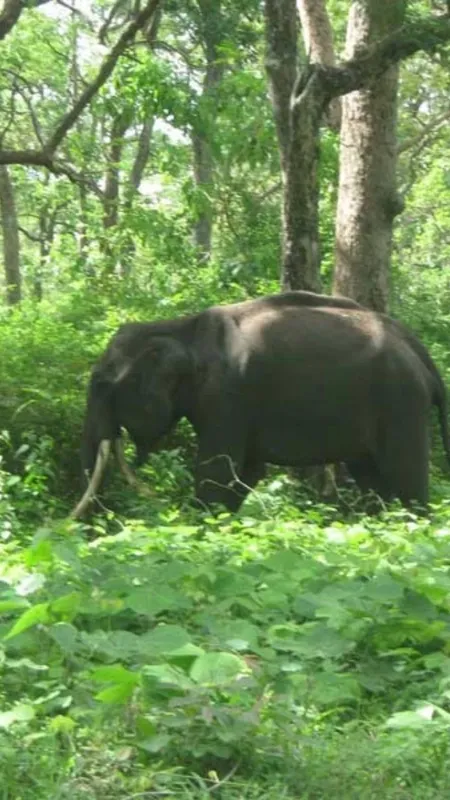 झरना, पहाड़ और ढेर सारी मस्ती, गर्मी छुट्टी में बच्चों को यहां घुमाएं