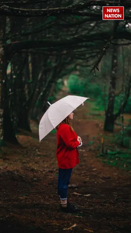 छाता गोल ही क्यों होता है...जरा लगाइए अपना दिमाग?