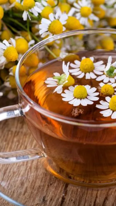 Health: क्या आप chamomile tea का सेवन करते हैं? नहीं! तो देखें जरूर