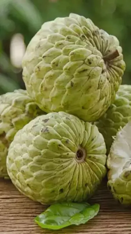 शरीफा खाने के हैरान कर देने वाले फायदे!