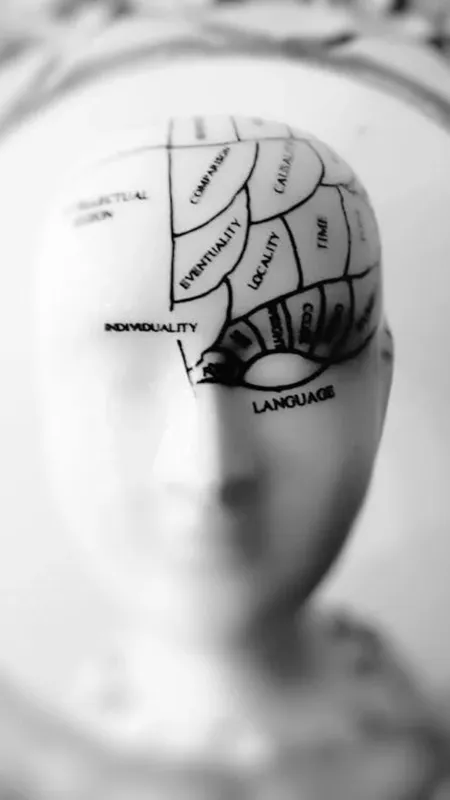 क्या इस डिवाइस से दिमाग को ट्रैक किया जा सकता है?