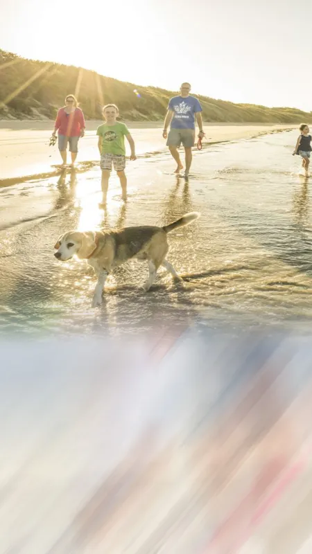 घर-नौकरी छोड़ इस फैमिली ने 2 साल तक मनाया वैकेशन