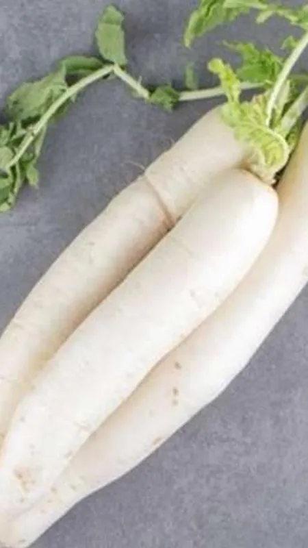 सर्दियों में मूली खाने के फायदे हजार, इन बीमारियों से दिला दें निजात