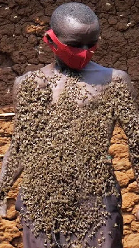 ये तस्वीरें आपको उड़ा देंगे होश, शरीर पर करता है मधुमक्खियों का पालन