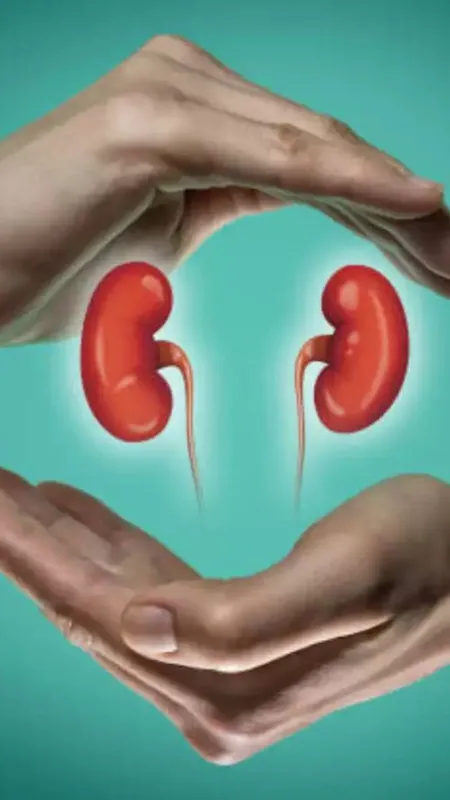 किडनी फेल कर सकती हैं ये 3 बीमारियां!