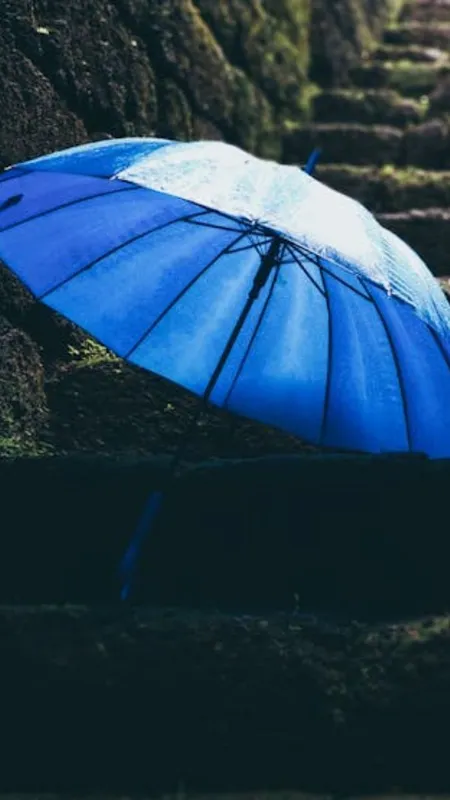 बाजार में ज्यादा काले छाते ही क्यों है बिकते?