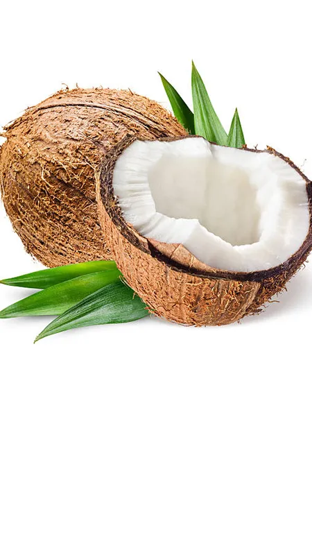 रोज कच्चा नारियल खाएं, इन बीमारियों को बॉडी से दूर भगाएं