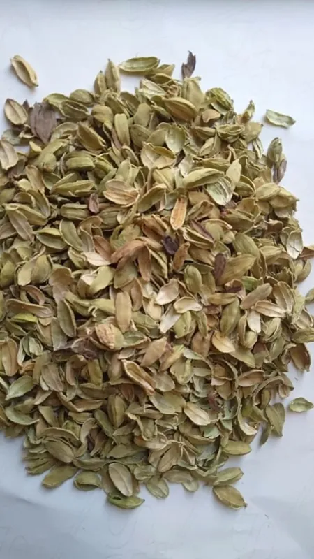 इलायची के छिलके खाने के 5 फायदे!