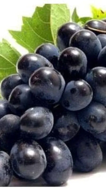 पसंदीदा फल खोलेगा आपकी Personality  के राज!