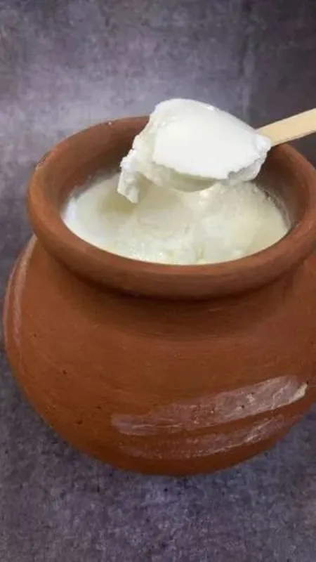 सेहत के लिए वरदान है दही, जानें फायदे
