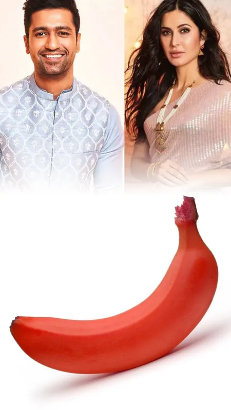 आखिर क्या है कैटरीना और विक्की की शादी में लाल केलों का राज़