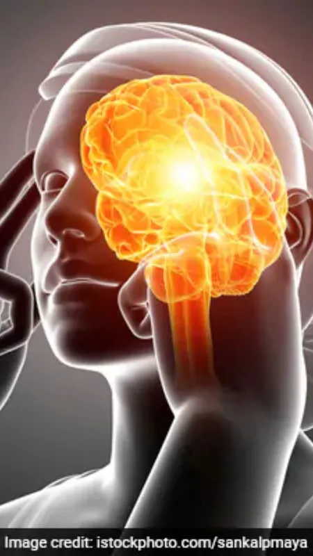 याददाश्त बढ़ाने के लिए खाएं ये सूपर फूड्स!