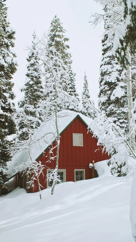 सर्दियों में Snowfall देखने का बना रहे हैं प्लान, यहां मनाएं Vacation