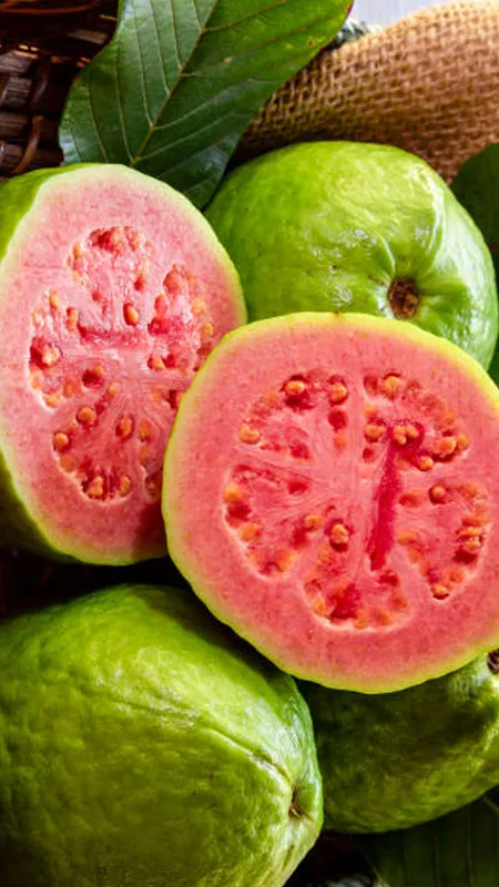 अमरूद जब खाएंगे रोज, नहीं लेना पड़ेगा इन बीमारियों के लिए डोज