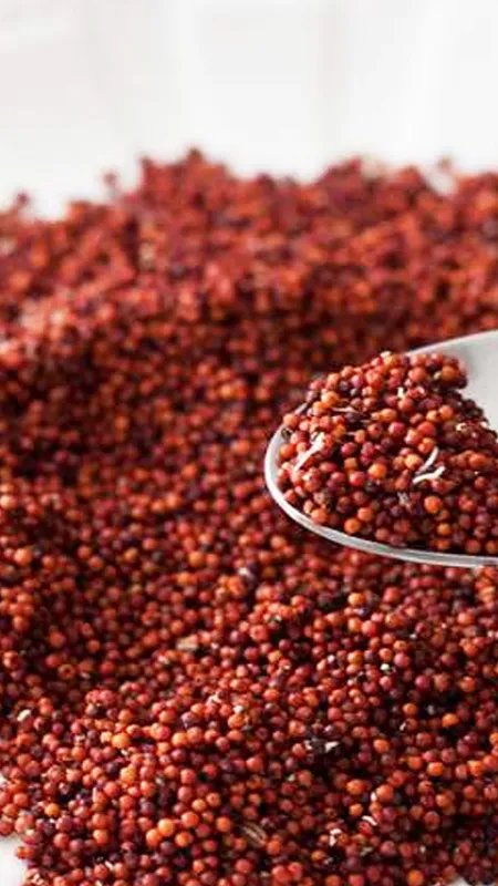 खाइए ये रागी, हो जाएंगे निरोगी