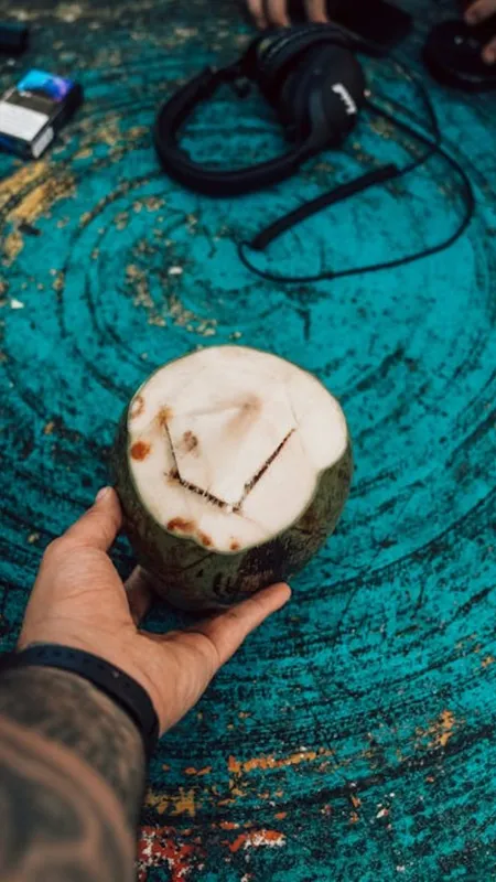 आधे से ज्यादा लोग नहीं जानते, नारियल के अंदर कैसे होता है पानी?