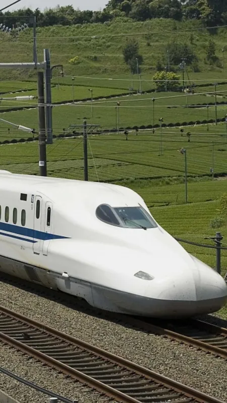 बुलेट ट्रेन से भी तेज़ उड़ता है ये पक्षी!