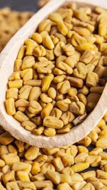 मेथी को ऐसे खाने के फायदे दमदार, चुटकियों में belly fat घट जाएग सरकार