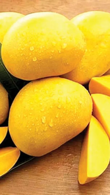 आम खाने के नुकसान जान आप भी हो जायेंगे हैरान!