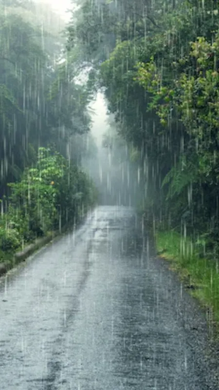 यूपी के इस शहर में सबसे ज्यादा होती है बारिश!