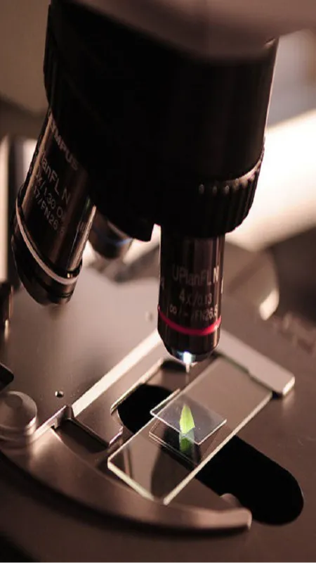 इन चीजों को माइक्रोस्कोप से देखा गया, सामने आए चौंकाने वाले दृशय