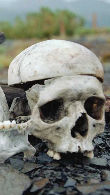 कोलतार नहीं, इस सड़क को बनाने में लगी है इंसानों की हड्डियां, जानें है