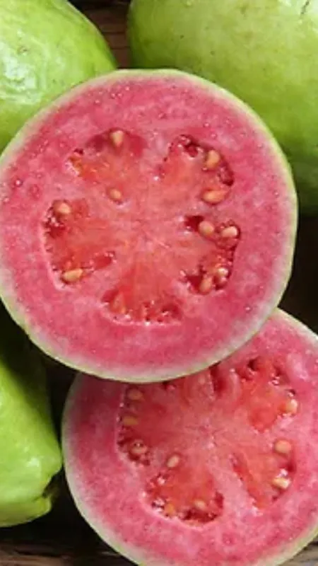 अमरूद खाने के ये है 6 फायदे!