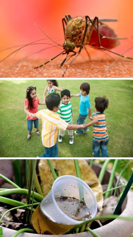 बारिश में डेंगू से बचने के लिए जरूर बरतें ये 5 सावधानियां