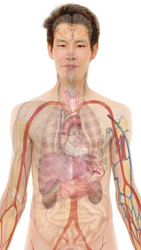 शरीर के लीवर के बारे में एक ऐसी सच्चाई, शायद नहीं जानते होंगे आप