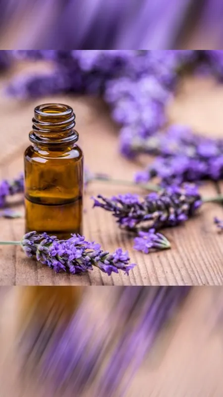 कभी बीमार नहीं होने देंगे ये 5 चमत्कारी पौधे, जल्द लगाएं घर में