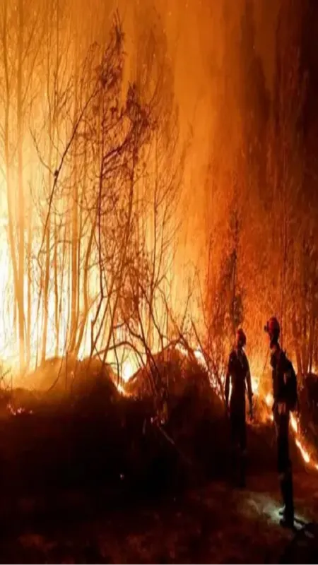 ग्रीस और कई अन्य देशों में जंगल की आग, देखें तस्वीरें