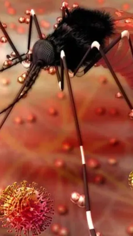 जानें कितना खतरनाक है जीका वायरस!