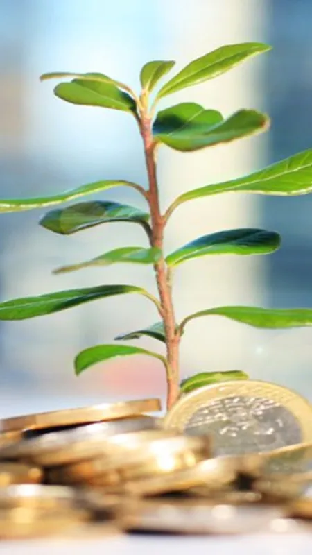 अगर ये बिजनेस गांव या शहर में करेंगे तो होगी अच्छी कमाई