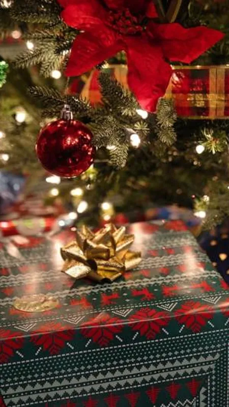 Christmas पर Long Distance Friends को दें ये उपहार, रहेंगे एकदम शानदार