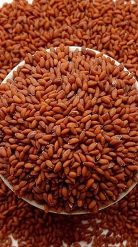 इन लोगों को हलीम सीड्स खाने से होते है ये फायदे, जानें
