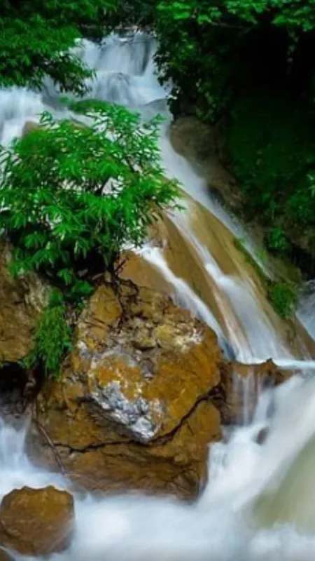 गर्मी में घूम आईए ऋषिकेश, इस बार जरूर जाइएगा नीरगढ़ झरना