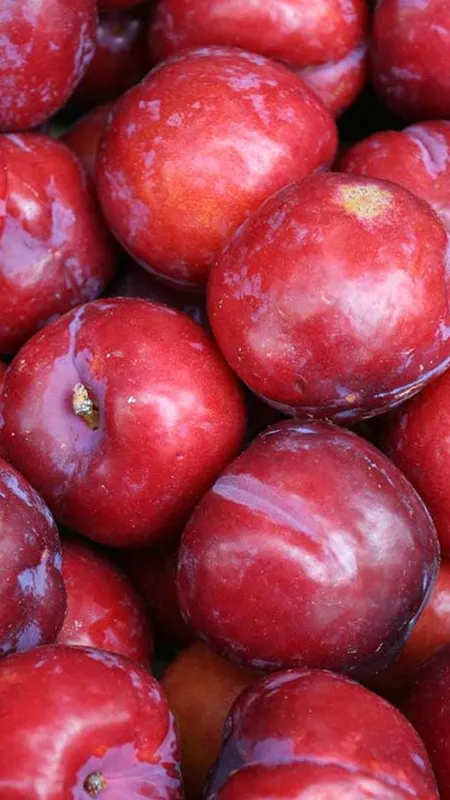 इस फल के आगे अनार भी फेल!