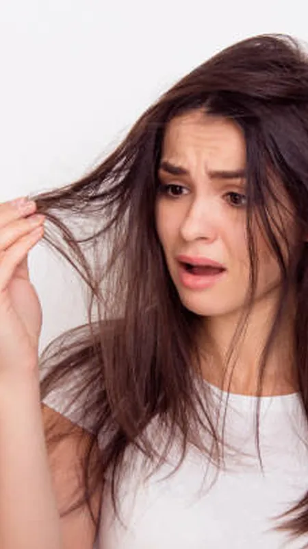 होली पर बालों को रंगों से है बचाना, इन तेल को जरूर लगाना