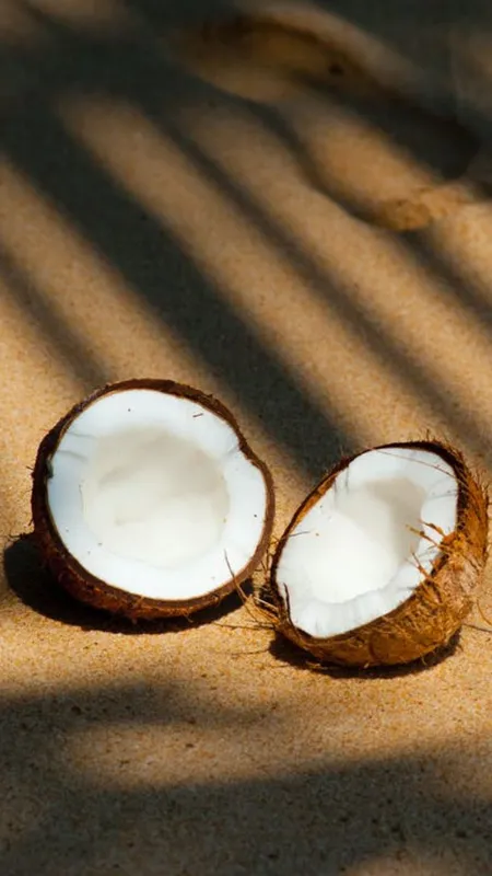 नारियल पानी में छिपा है सेहत का मंत्र, जानिए...