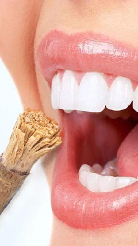 नीम के दातुन के फायदे जान चौंक जाएंगे आप!