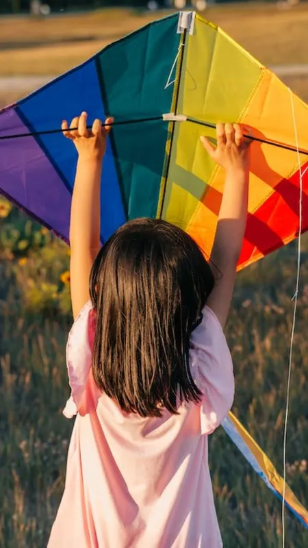 पतंग उड़ाने पर हो सकती है दो साल की जेल, जानिए क्या कहता है कानून?