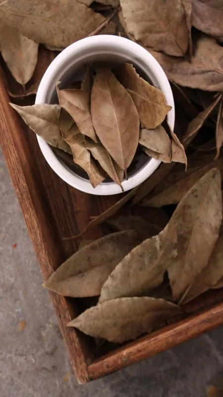 तेजपत्ता के हैं तमाम फायदें.. यहां जानें पूरी लिस्ट