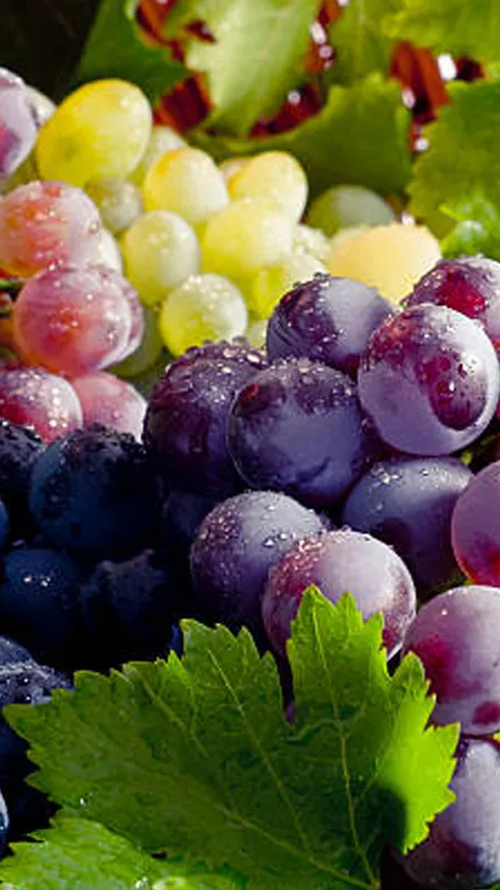 अंगूर खाने के हैं गंभीर नुकसान, जानकर रह जाएंगे हैरान