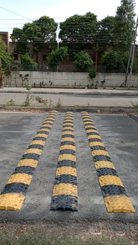 क्या आपने सोचा है...स्पीड ब्रेकर को हिंदी में क्या कहते हैं?