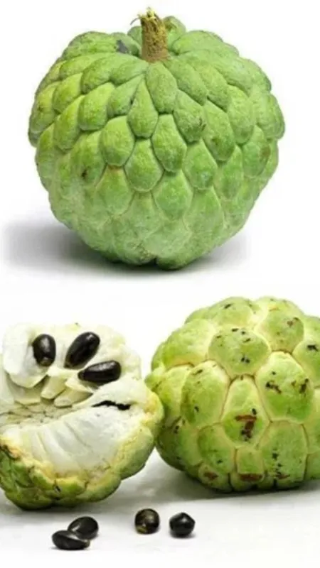 सेहत के लिए अमृत के समान है यह फल!