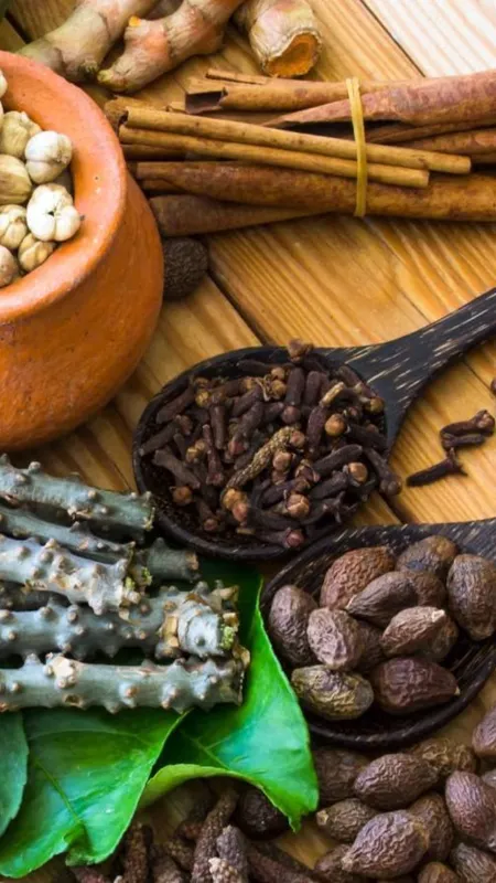 रोजाना खाएं ये 5 आयुर्वेदिक हर्ब्स, हमेशा रहेंगे स्वस्थ