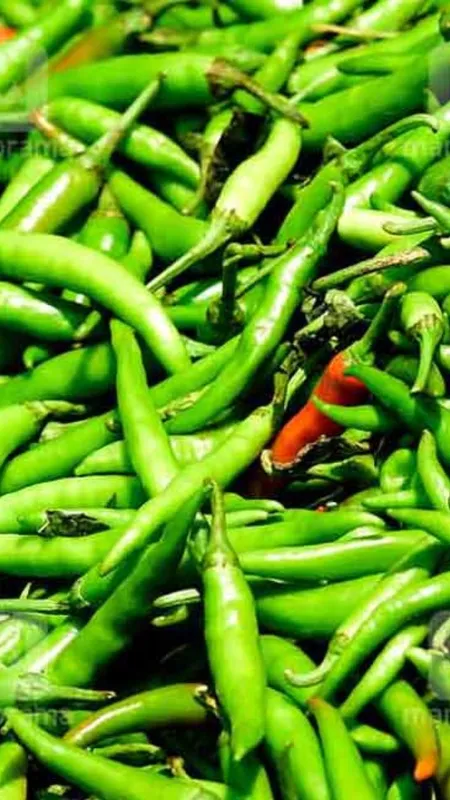 रोजाना सिर्फ 1 हरी मिर्च, इसके हैं कमाल के फायदे