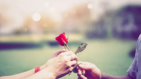 Rose Day 2022 Wishes: इस प्यार भरी शायरी से करें रोज डे की शुरुआत, होंठों पर आ जाएगी दिल में छुपी बात